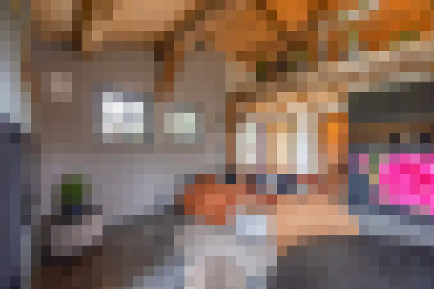 Lokkantseweg 11 a Haps thumbnail 70