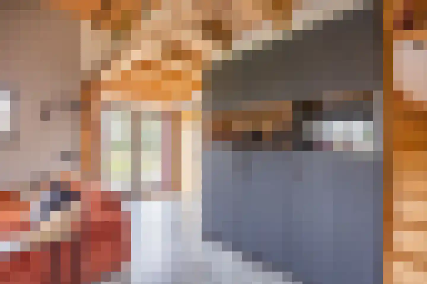 Lokkantseweg 11 a Haps thumbnail 71