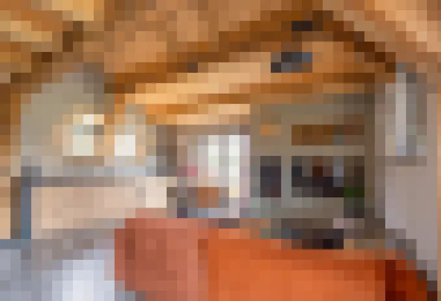 Lokkantseweg 11 a Haps thumbnail 72