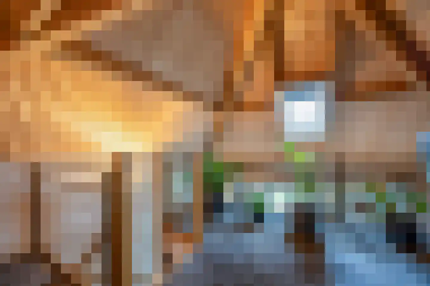 Lokkantseweg 11 a Haps thumbnail 79