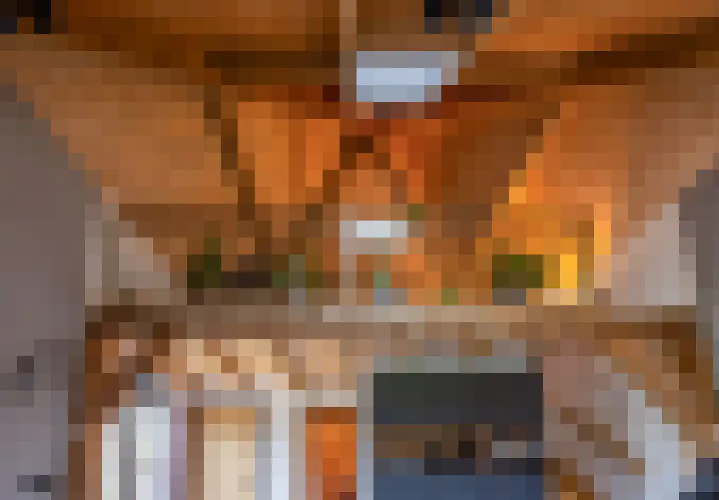 Lokkantseweg 11 a Haps thumbnail 82