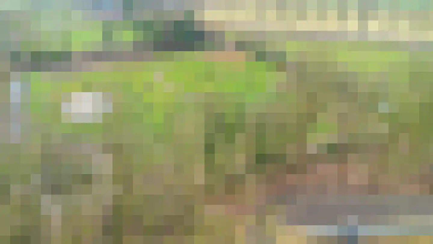 Lokkantseweg 11 a Haps thumbnail 84
