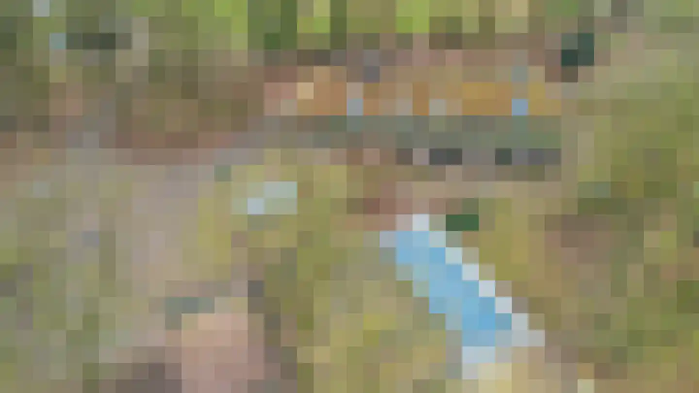 Lokkantseweg 11 a Haps thumbnail 85