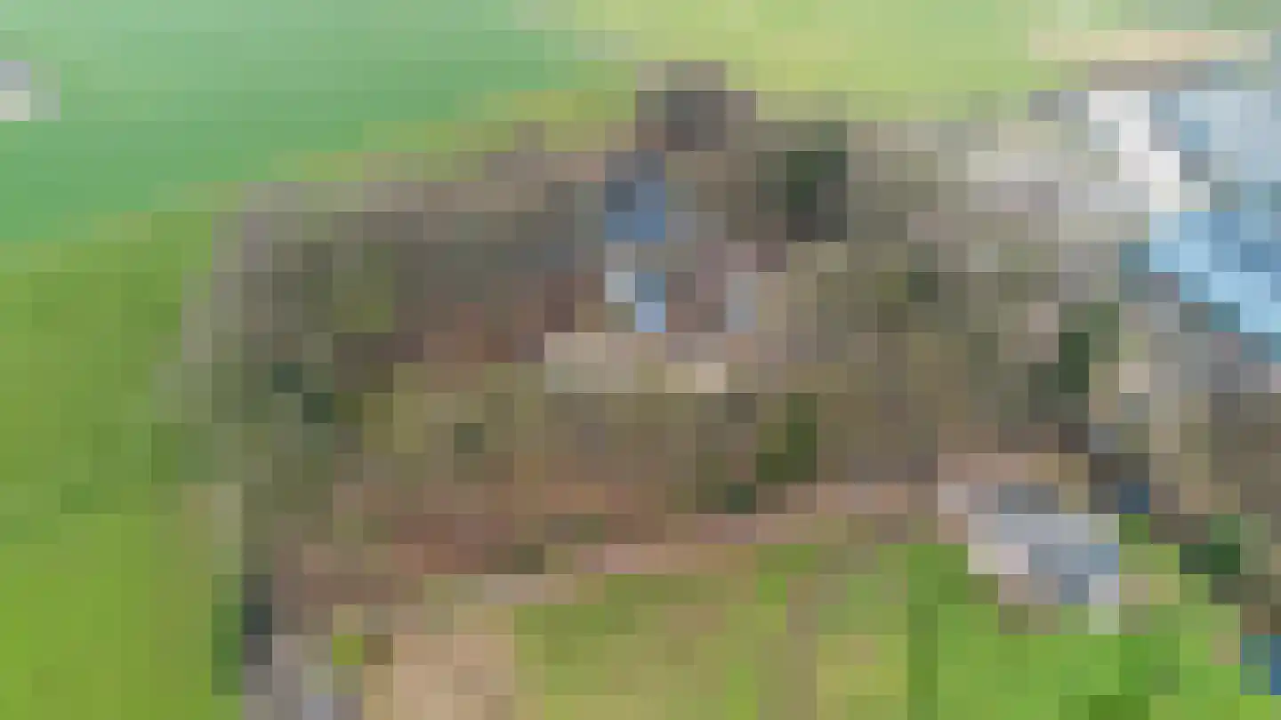 Lokkantseweg 11 a Haps thumbnail 87
