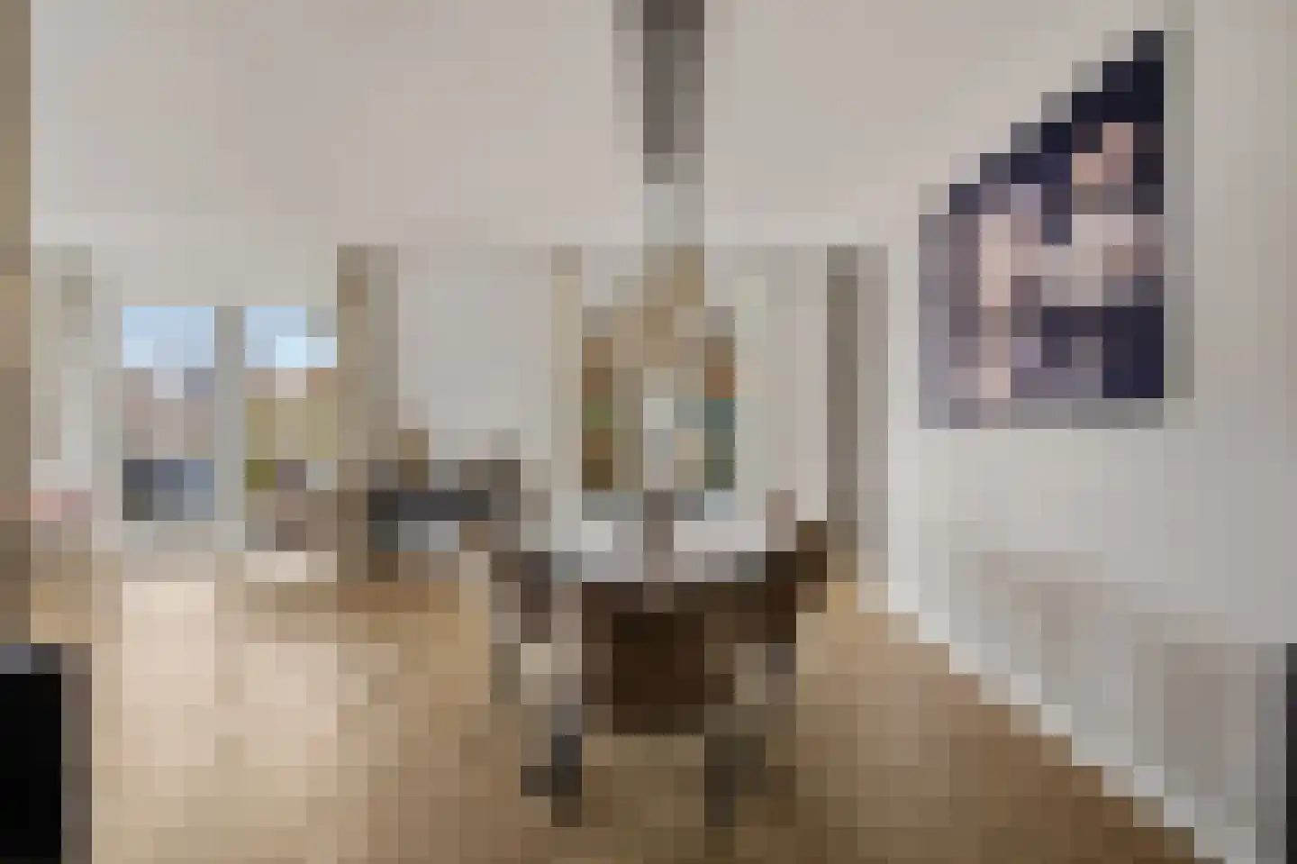 Lokken 9 Lage Zwaluwe thumbnail 12