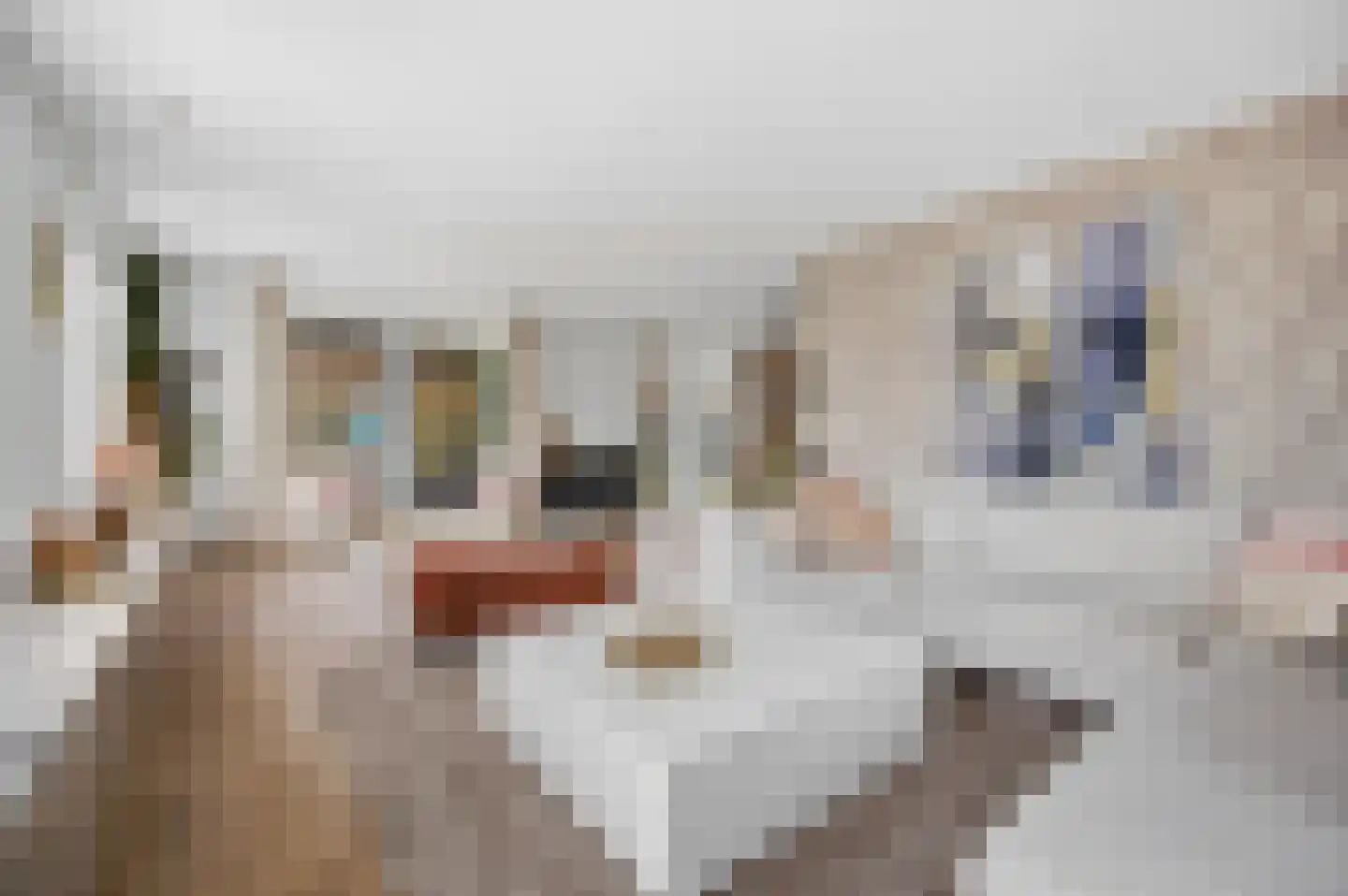 Lokken 9 Lage Zwaluwe thumbnail 18