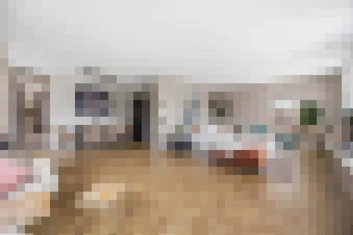 Lokken 9 Lage Zwaluwe foto 3