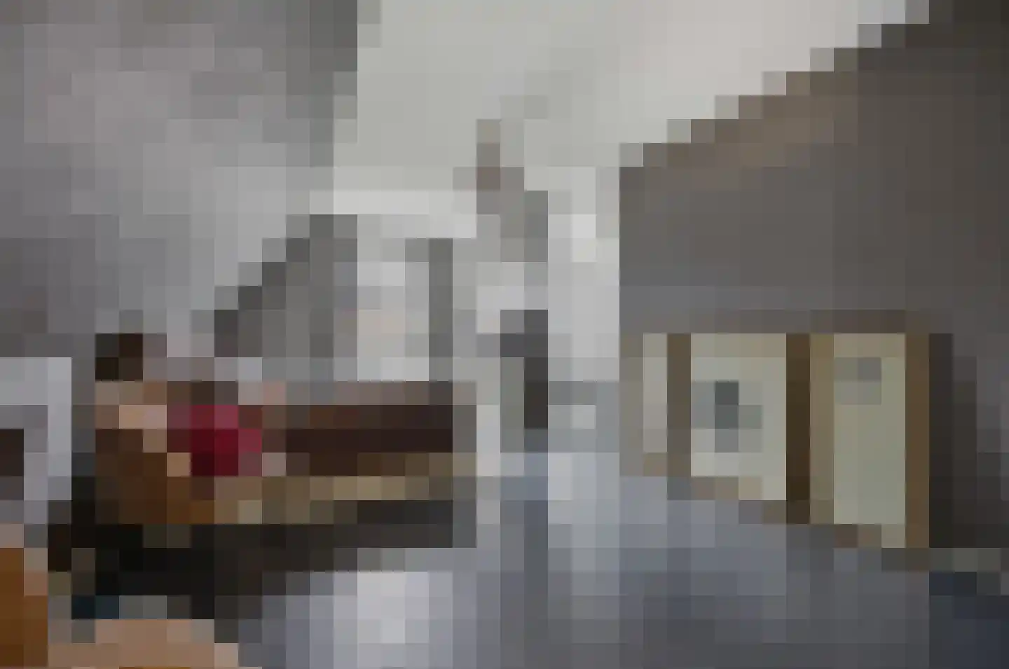 Lokken 9 Lage Zwaluwe thumbnail 30