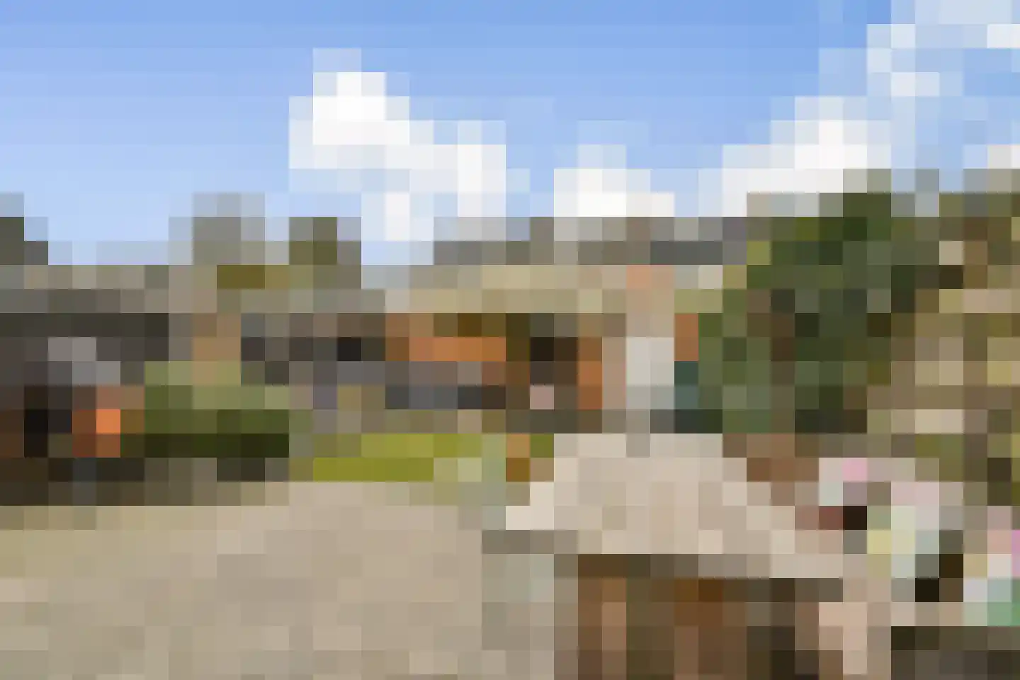 Lokkenstraat 3 's-Gravendeel thumbnail 19