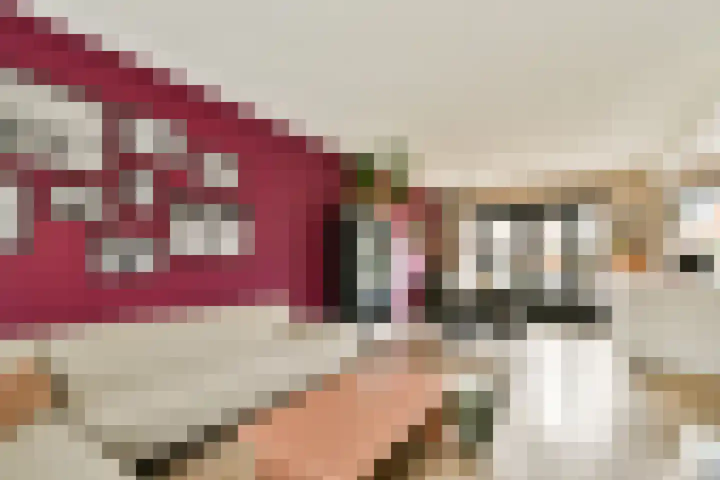 Lokkenstraat 3 's-Gravendeel thumbnail 4