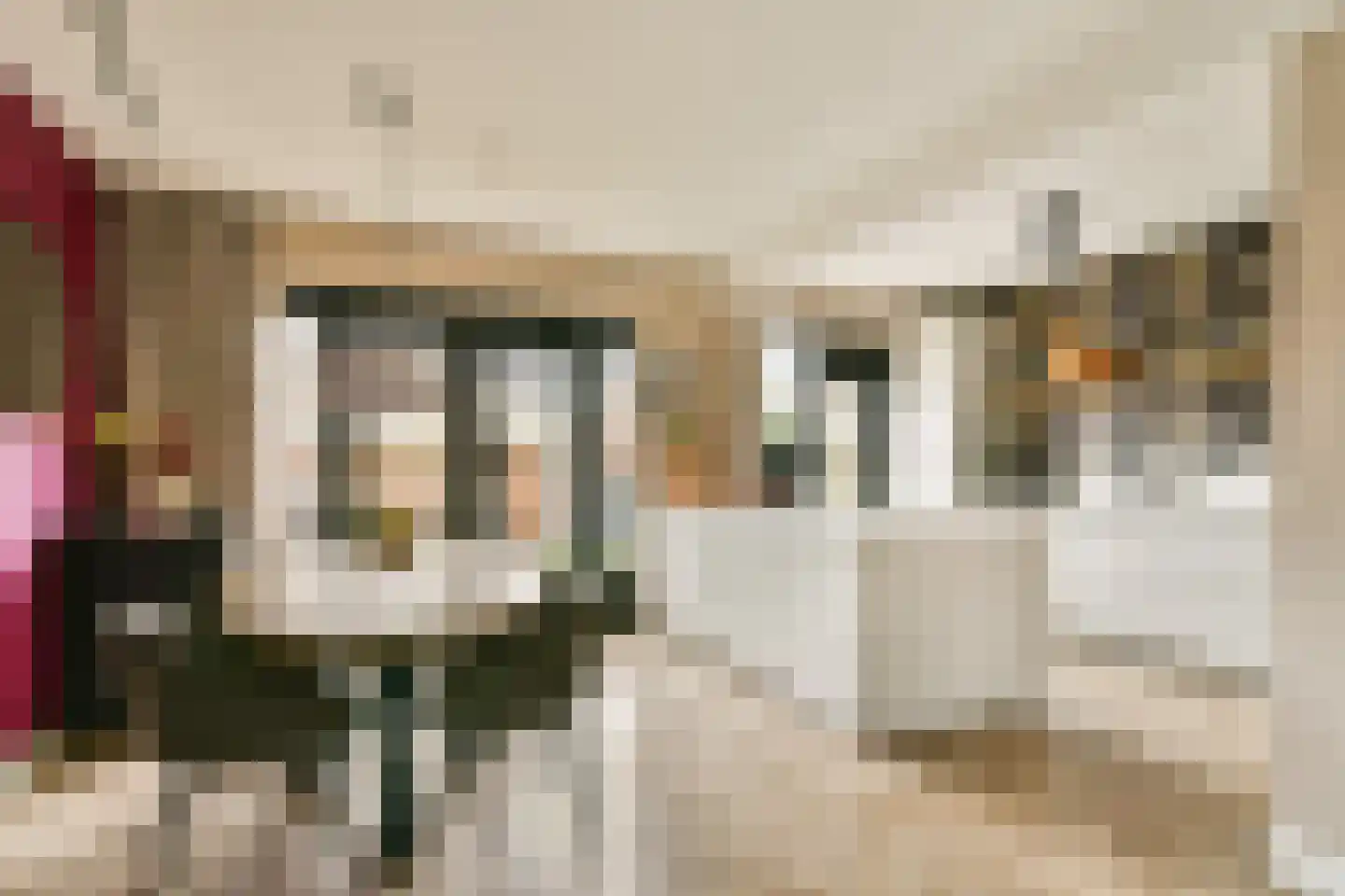 Lokkenstraat 3 's-Gravendeel thumbnail 5