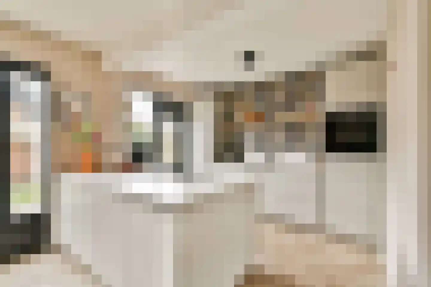 Lokkenstraat 3 's-Gravendeel thumbnail 6