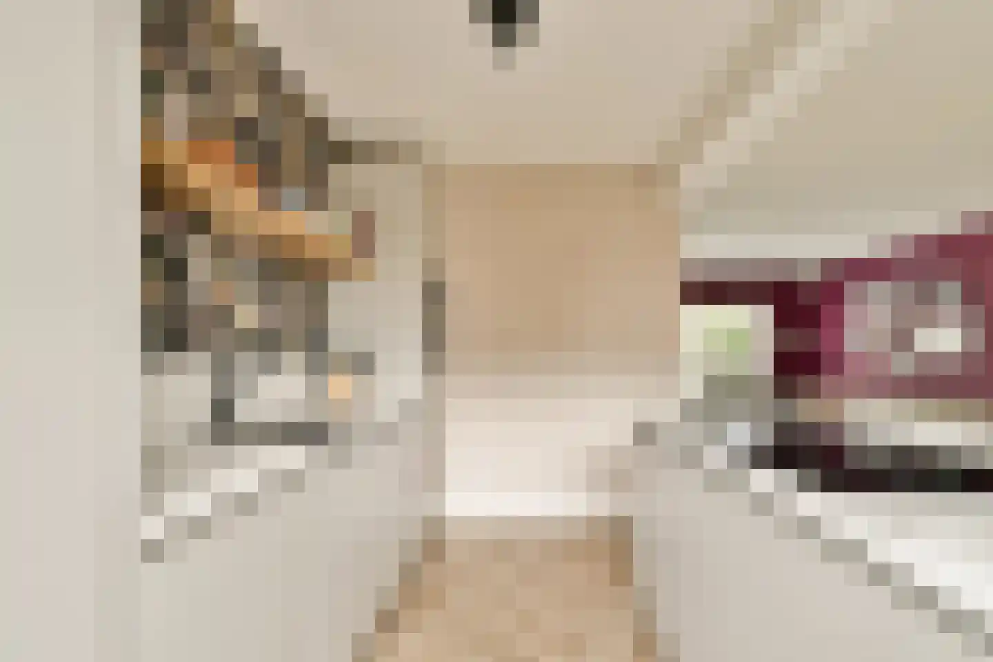 Lokkenstraat 3 's-Gravendeel thumbnail 7