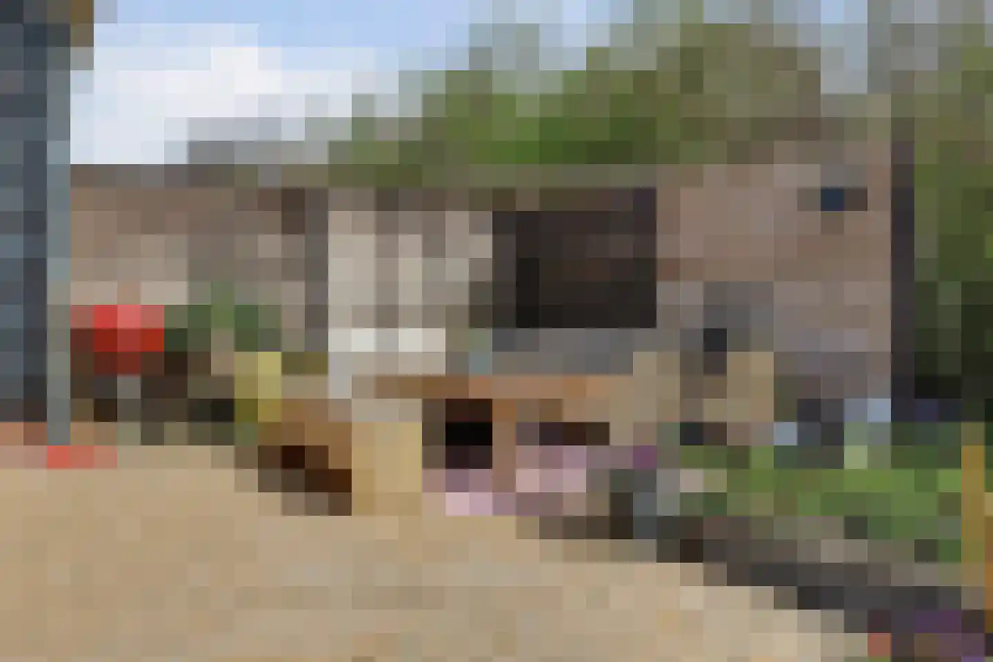 Lokkershofweg 5 Noordwelle thumbnail 36