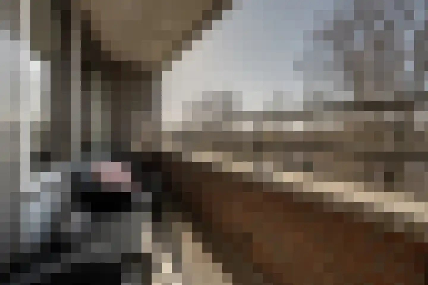 Lokkertsemolenweg 64 Hoogvliet Rotterdam thumbnail 7