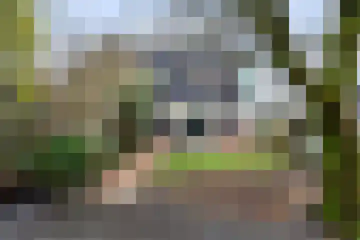 Lokomotiefstraat 32 Apeldoorn thumbnail 10
