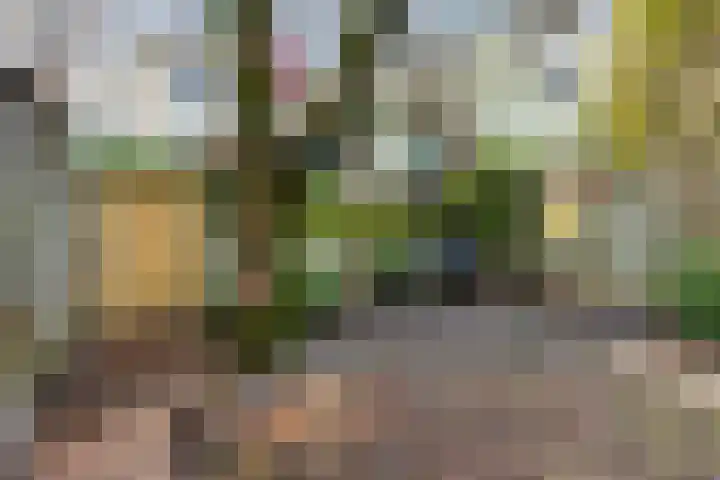 Lokomotiefstraat 32 Apeldoorn thumbnail 8