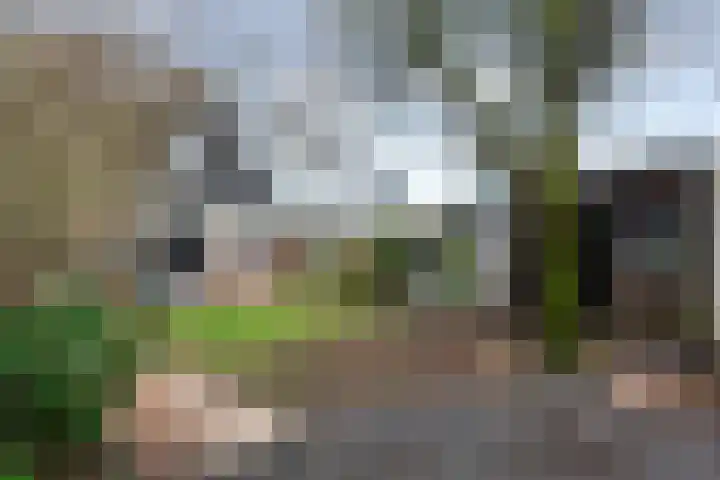 Lokomotiefstraat 32 Apeldoorn thumbnail 9