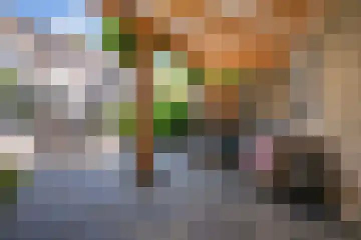 Lokomotiefstraat 40 Apeldoorn thumbnail 4
