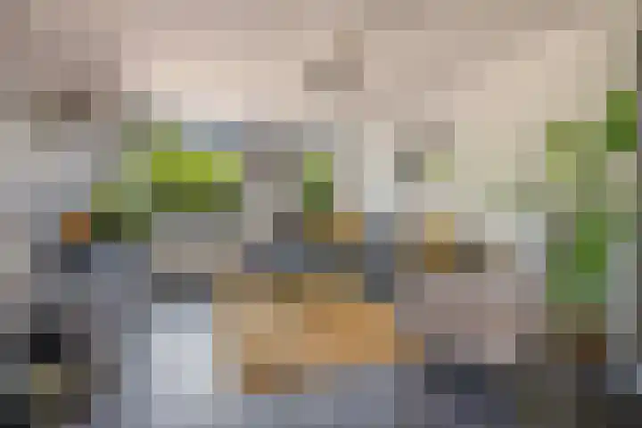 Lokomotiefstraat 40 Apeldoorn thumbnail 5