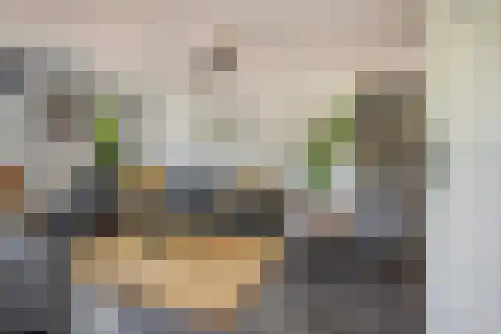 Lokomotiefstraat 40 Apeldoorn thumbnail 6
