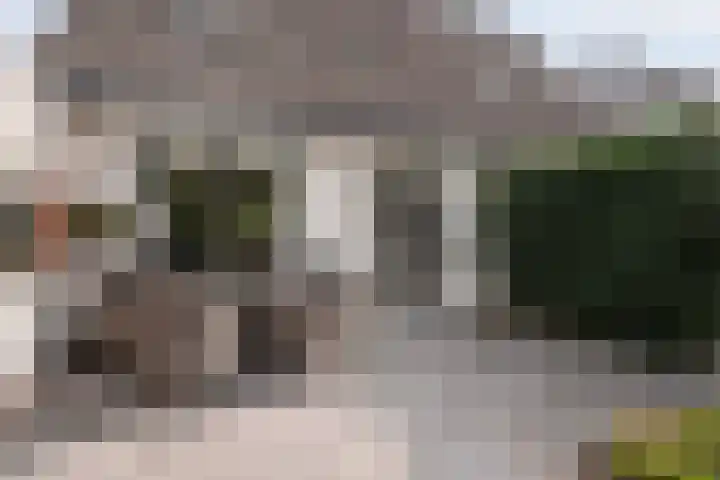 Lokomotiefstraat 48 Apeldoorn thumbnail 18