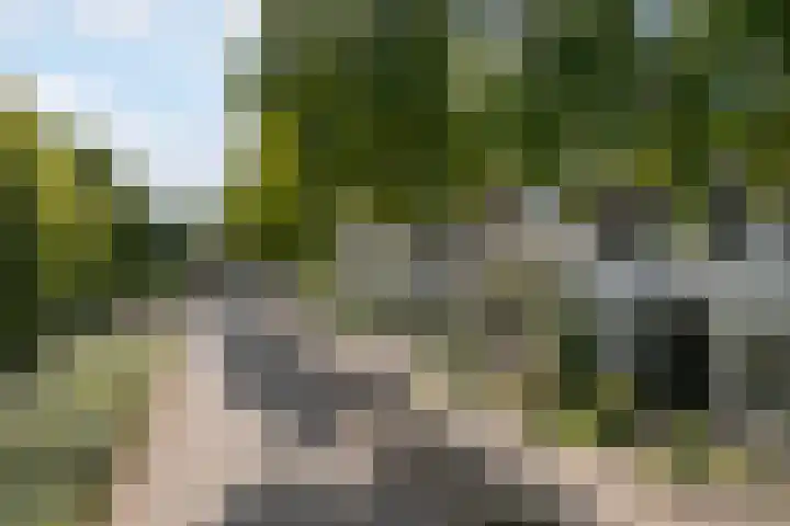 Lokomotiefstraat 48 Apeldoorn thumbnail 25