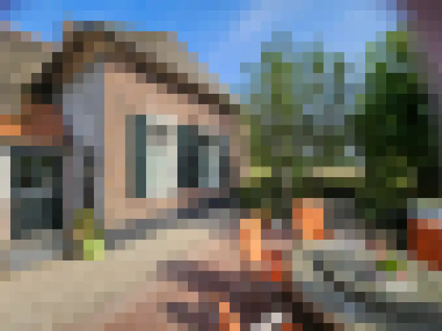 Loksheuvelseweg 1 Overasselt thumbnail 10
