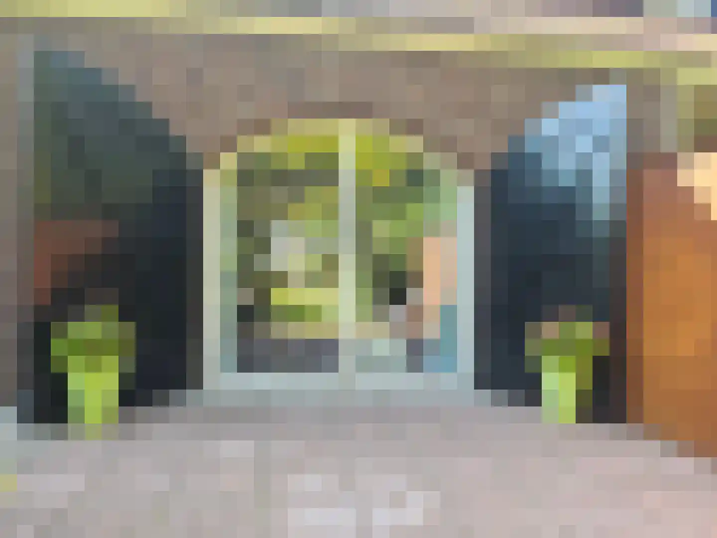 Loksheuvelseweg 1 Overasselt thumbnail 13