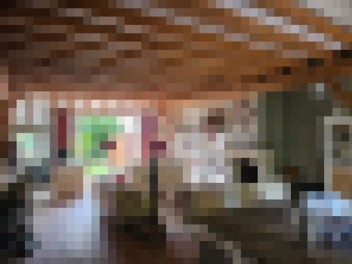 Loksheuvelseweg 1 Overasselt thumbnail 16