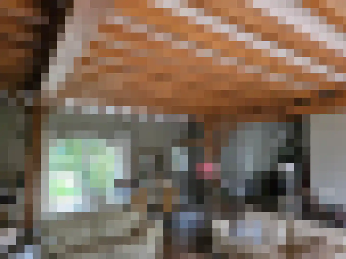Loksheuvelseweg 1 Overasselt thumbnail 18