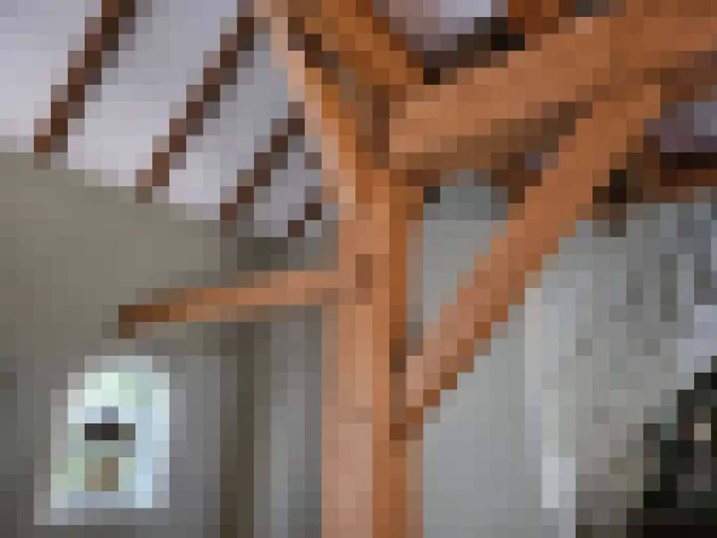 Loksheuvelseweg 1 Overasselt thumbnail 19