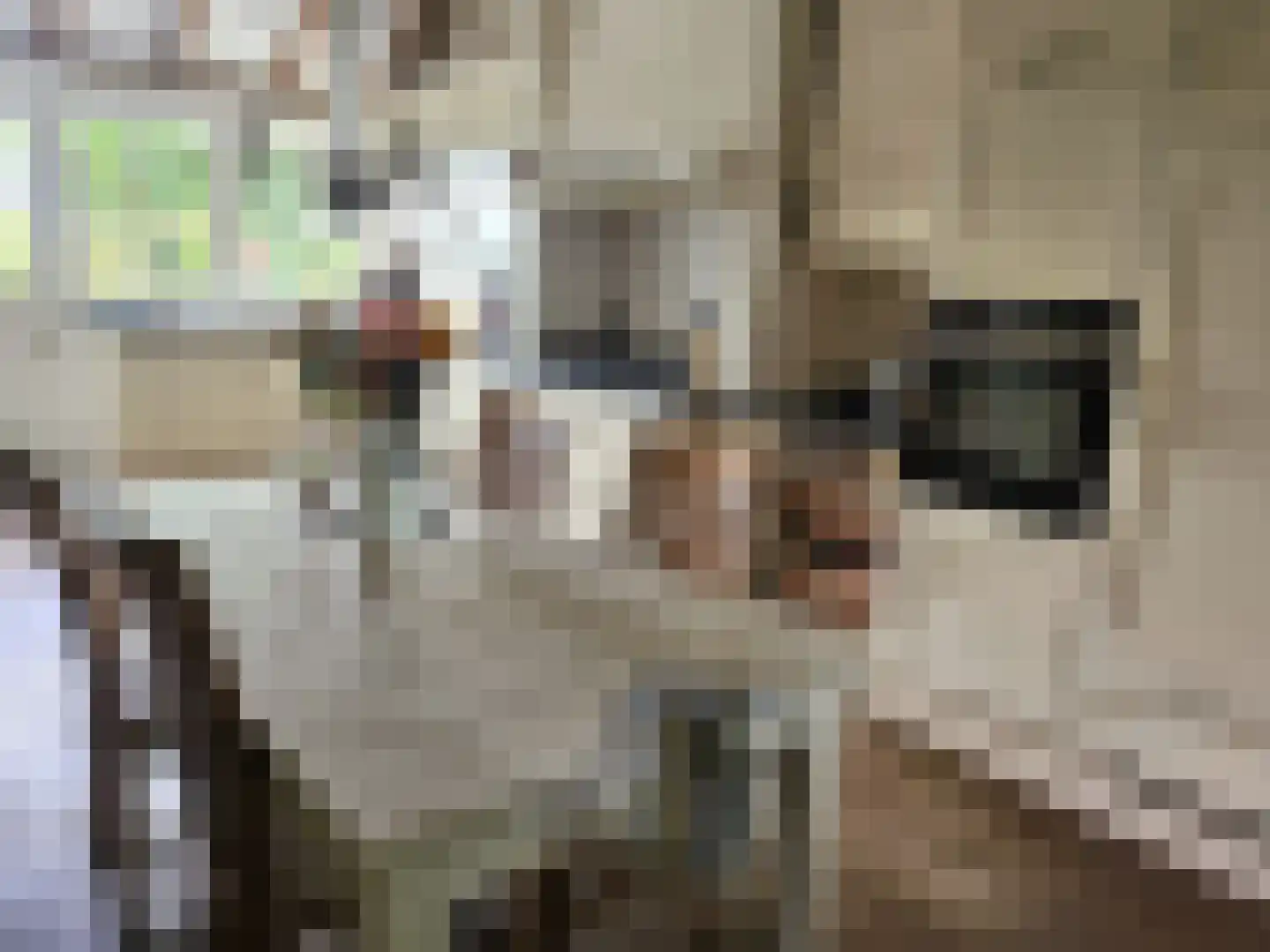 Loksheuvelseweg 1 Overasselt thumbnail 20
