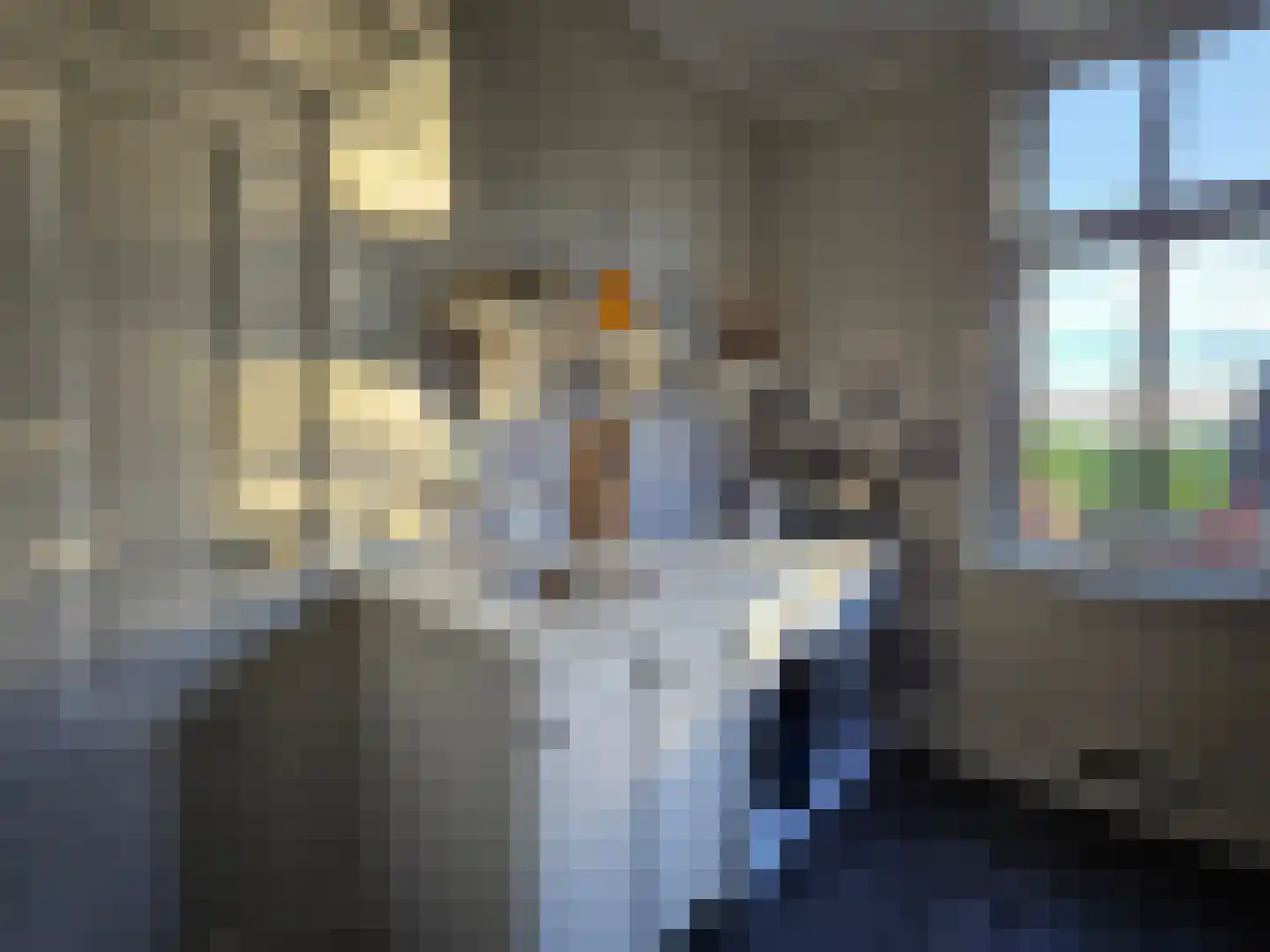 Loksheuvelseweg 1 Overasselt thumbnail 23