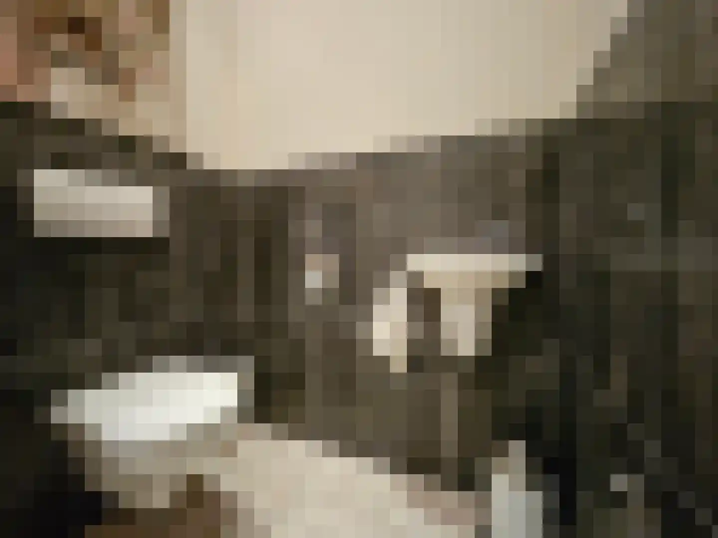 Loksheuvelseweg 1 Overasselt thumbnail 24