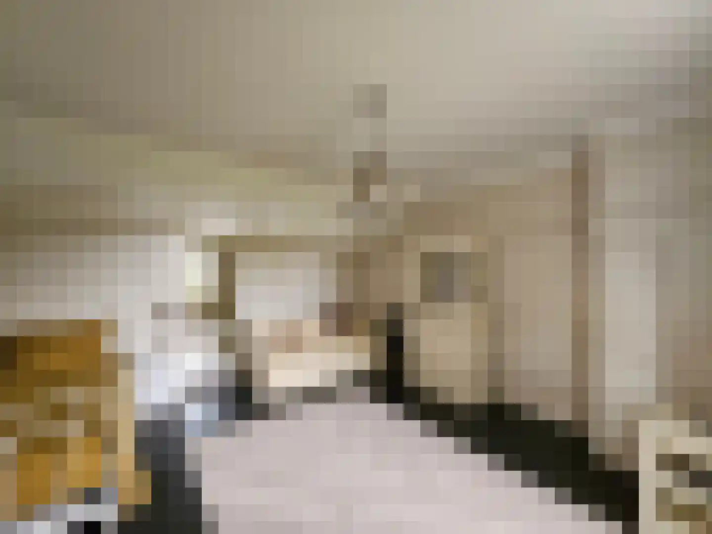 Loksheuvelseweg 1 Overasselt thumbnail 25