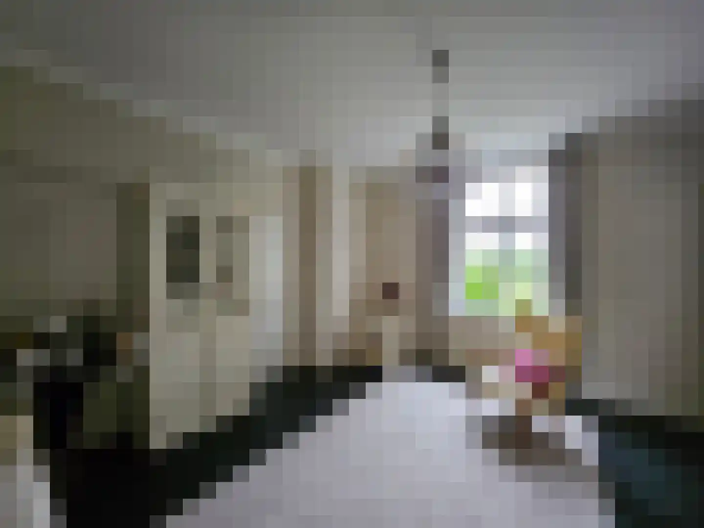 Loksheuvelseweg 1 Overasselt thumbnail 26