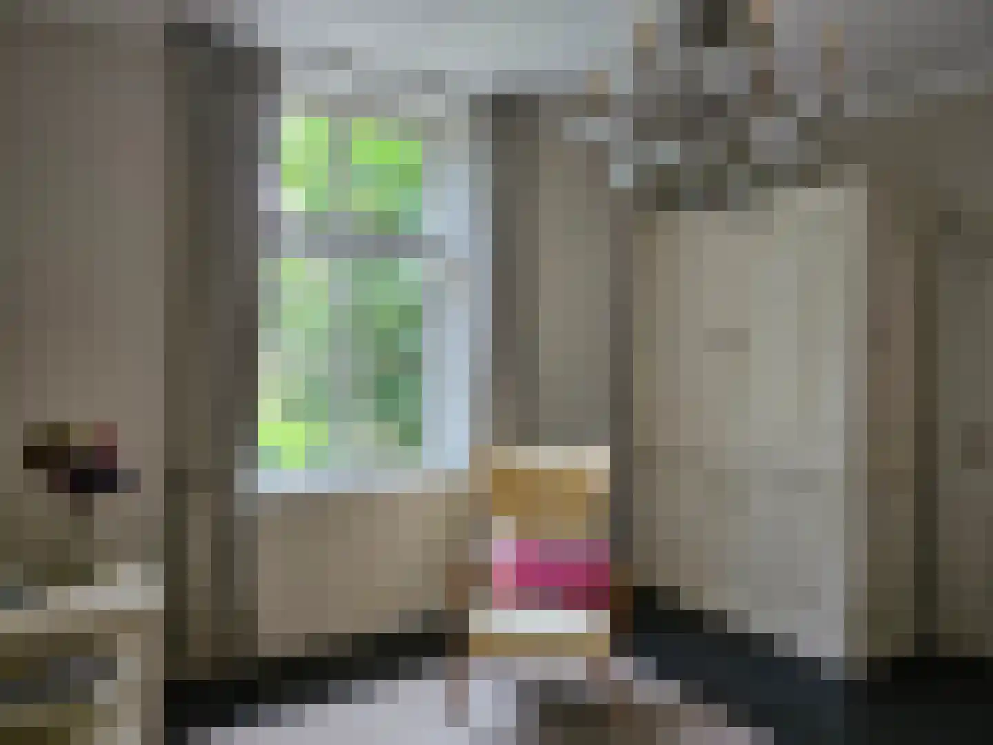 Loksheuvelseweg 1 Overasselt thumbnail 27
