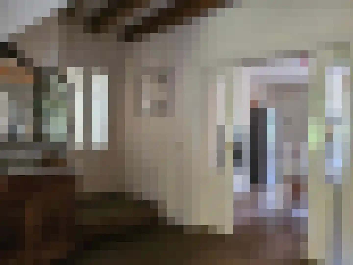Loksheuvelseweg 1 Overasselt thumbnail 33