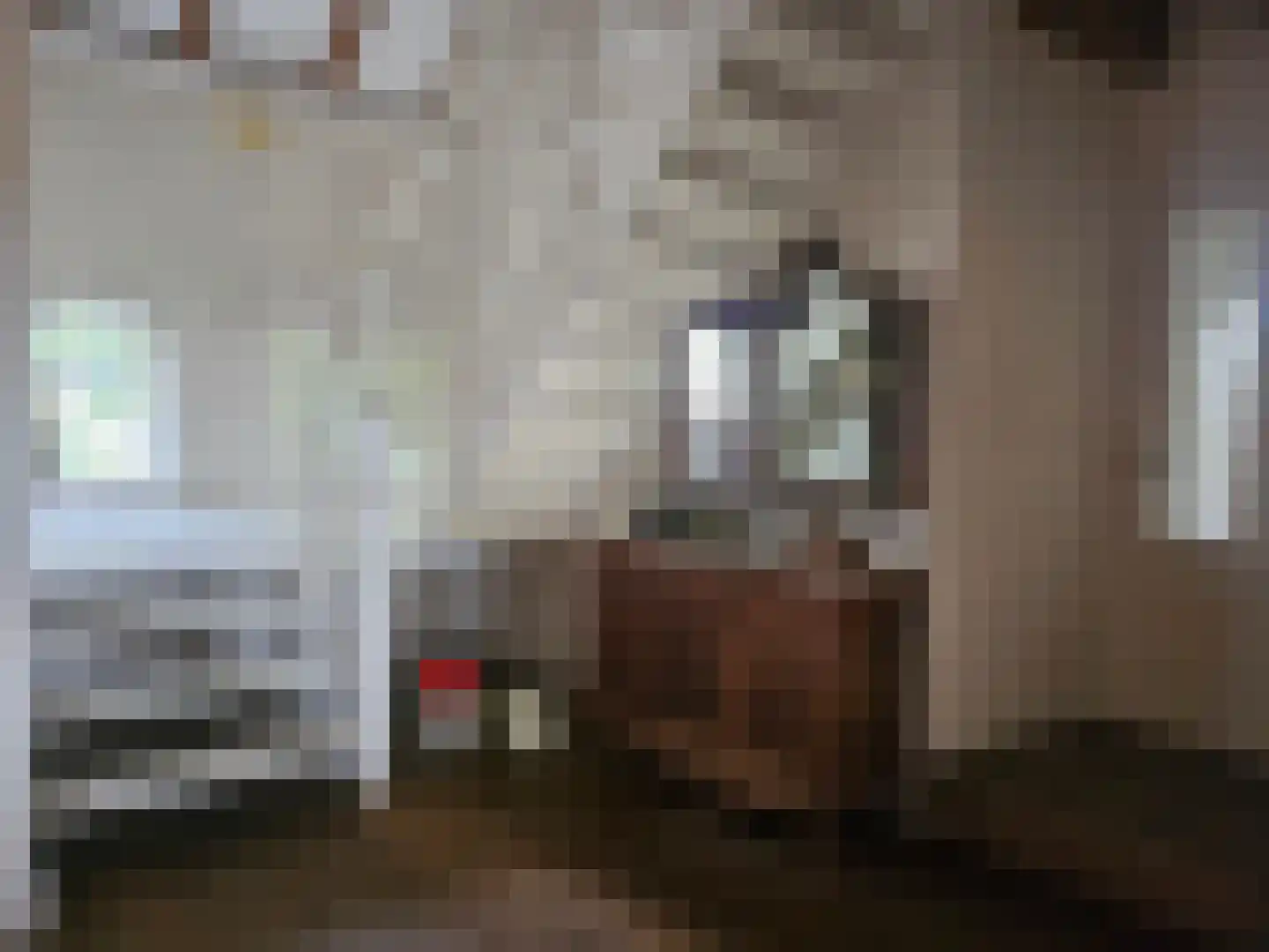 Loksheuvelseweg 1 Overasselt thumbnail 34