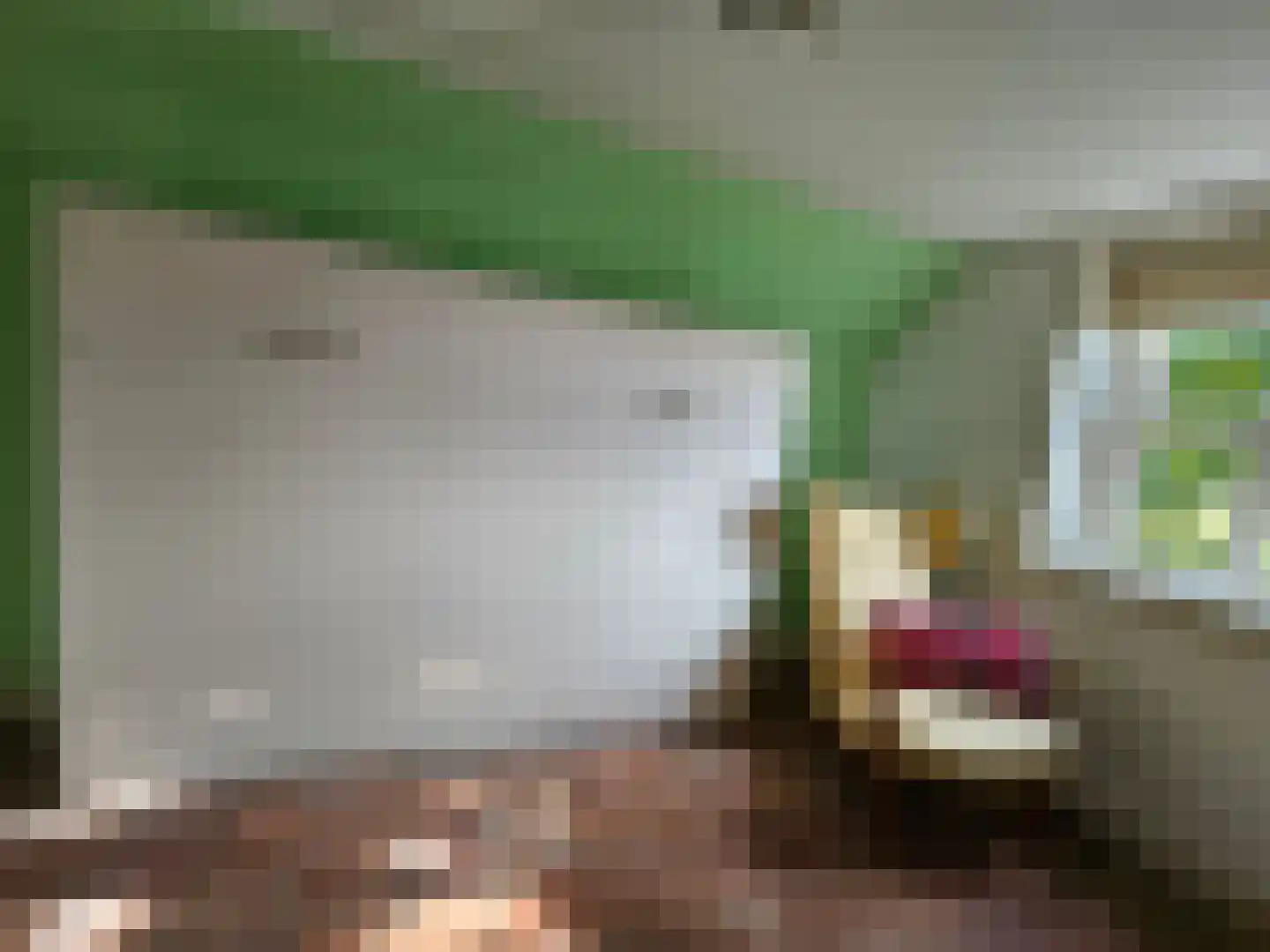 Loksheuvelseweg 1 Overasselt thumbnail 36