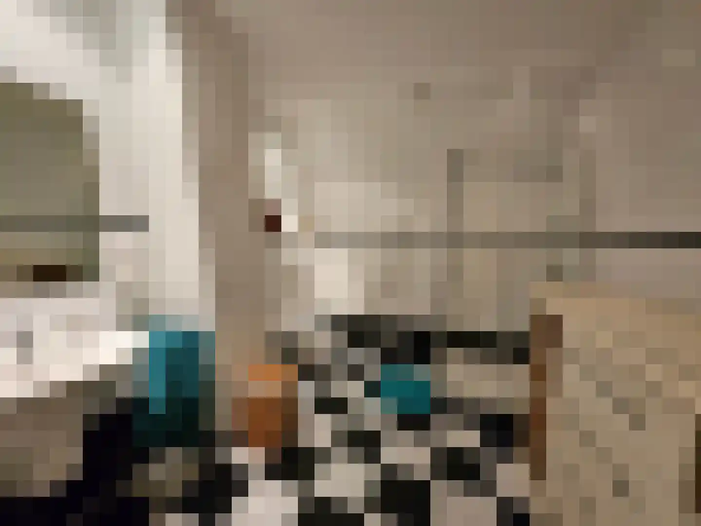 Loksheuvelseweg 1 Overasselt thumbnail 38