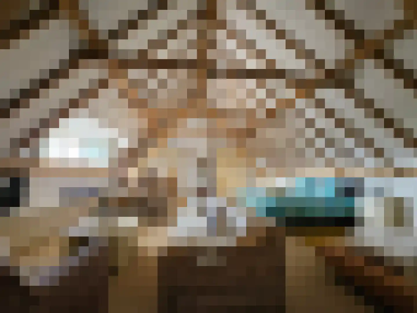Loksheuvelseweg 1 Overasselt thumbnail 39