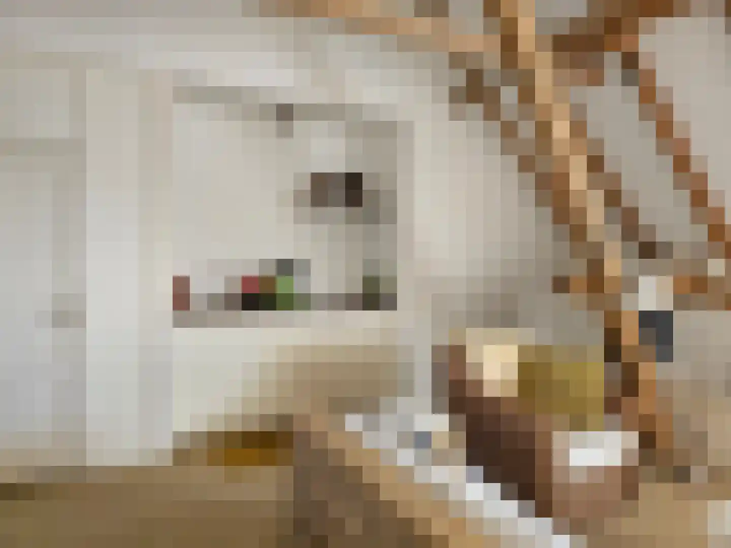 Loksheuvelseweg 1 Overasselt thumbnail 41