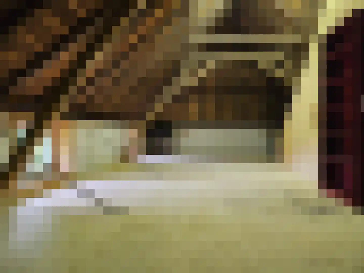 Loksheuvelseweg 1 Overasselt thumbnail 42