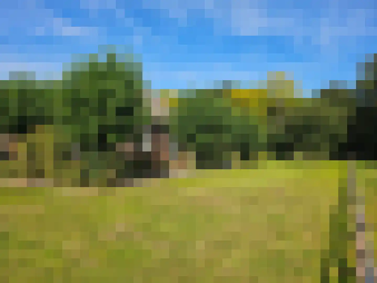Loksheuvelseweg 1 Overasselt thumbnail 5