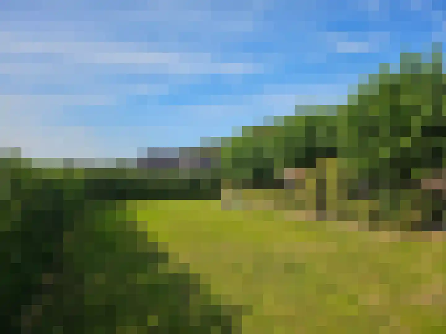Loksheuvelseweg 1 Overasselt thumbnail 6