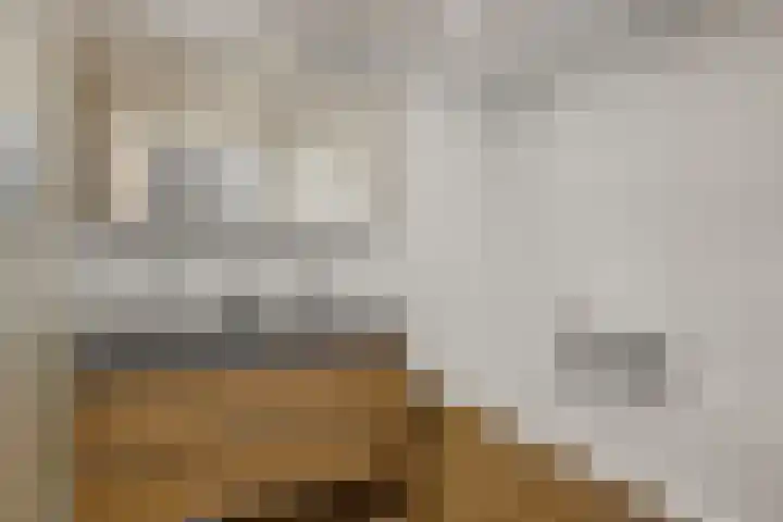 Loksleane 2 Wijnjewoude thumbnail 12