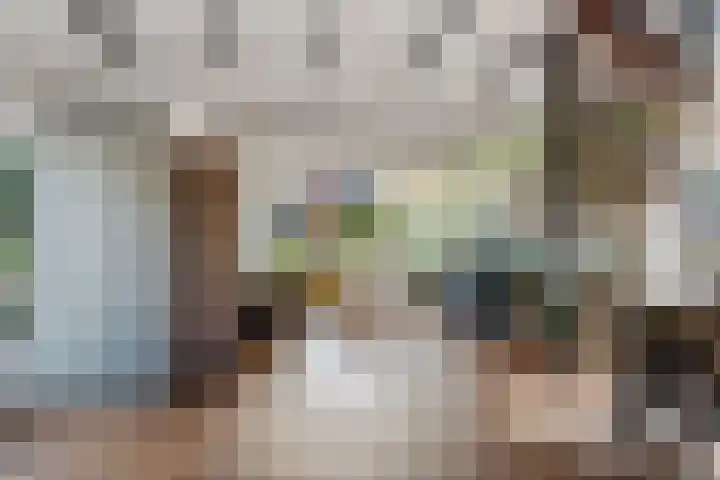 Loksleane 2 Wijnjewoude thumbnail 15