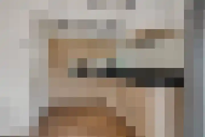 Loksleane 2 Wijnjewoude thumbnail 16
